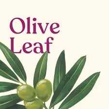 Olive Leaf and Essiac Tea Complex